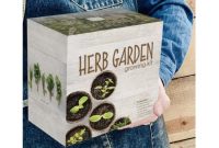 Japanese seed starting kit aesthetic